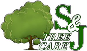 S&J Tree Care - Tree Service Company Serving Greater Sacramento, CA -916-730-3399